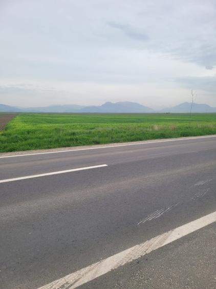Teren Construcții intravilan de 15000 mp, în Prejmer