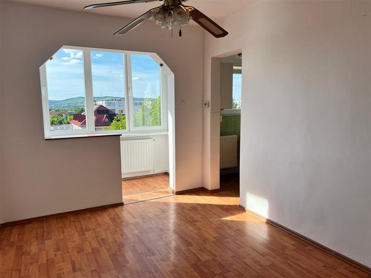 Apartament cu 1 camera de vanzare Mureseni - 3