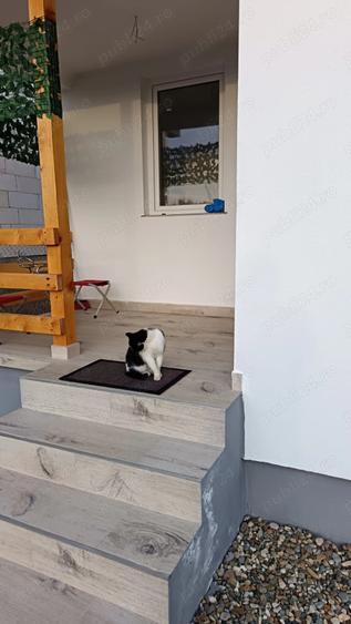 Casă cu 3 camere cu Teren 300 Mp în Livezile