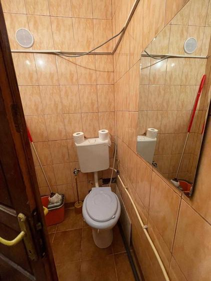 Garsonieră în Lotrului