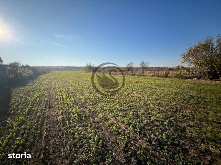 Teren de 12650 mp, în I. L. Caragiale