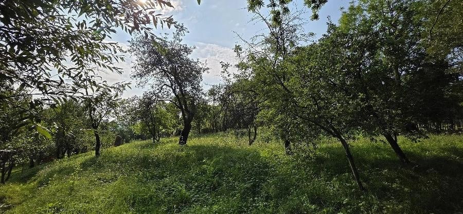 Teren de 2000 mp, în Talea