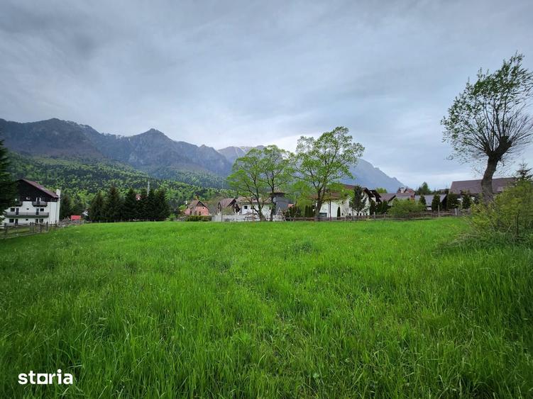 Teren de 2675 mp, în Poiana Țapului