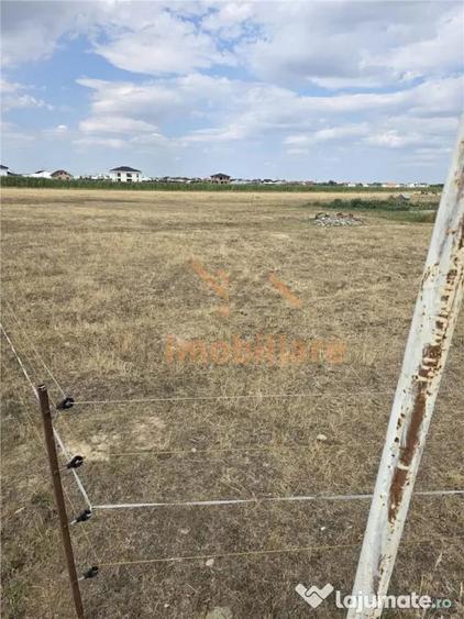 TEREN INTRAVILAN 568 MP | PROIECT CASA | CIHEI - SANMARTIN | - 3