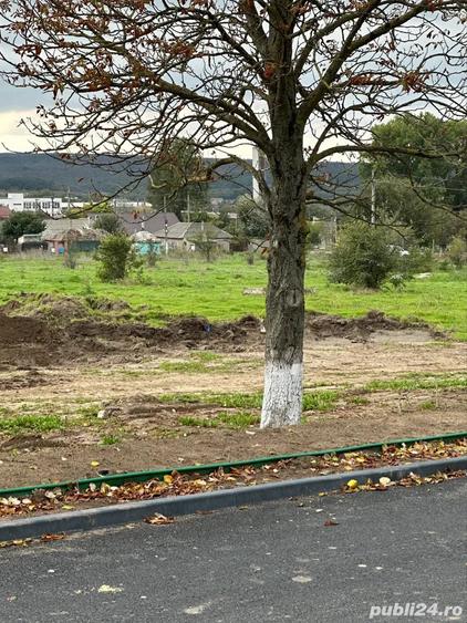 Teren de 500 mp, în Central