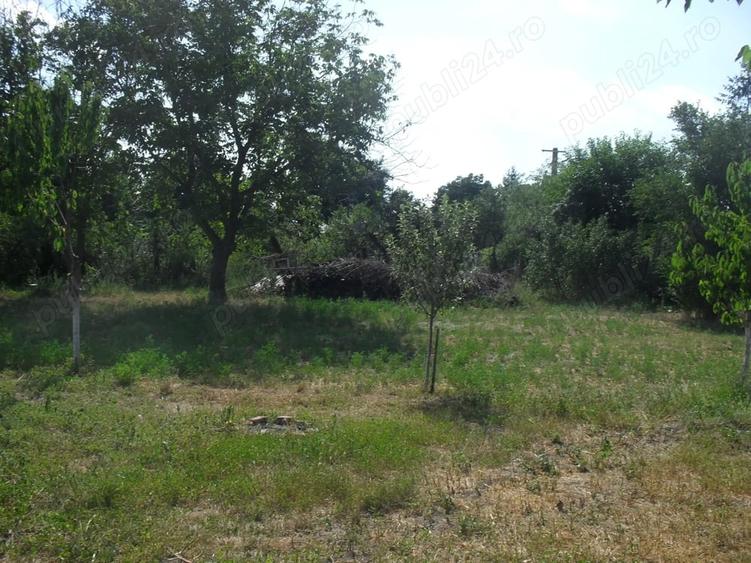 Casă cu 3 camere cu Teren 2400 Mp în Stoicănești
