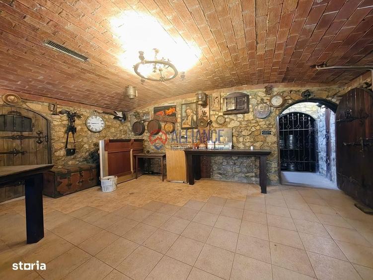 Spațiu comercial, de 520 mp, în Palas