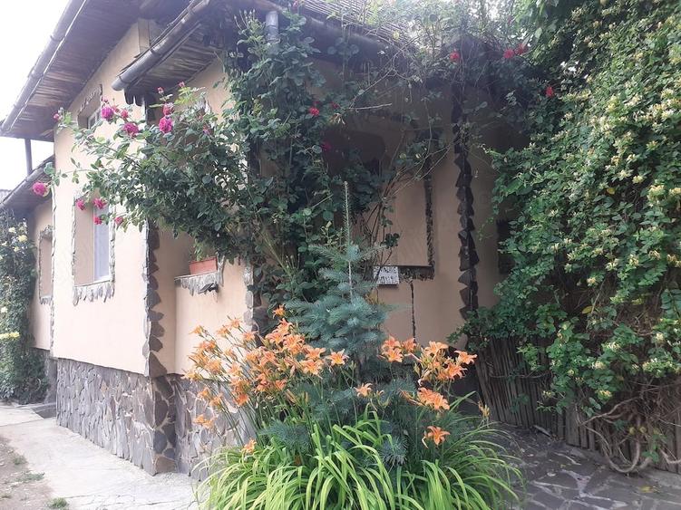 Vind Casa in Ocolis Maramures str.Culturii nr.110 - 4