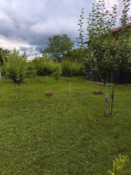 Casă cu 3 camere cu Teren 1100 Mp în Central