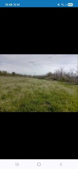 Proprietar | Teren 5000 mp Afumati - Str. Trandafirului | Utilitati | Ideal Hala Depozit - 5