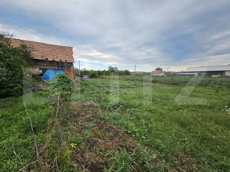 Casă cu 3 camere cu Teren 2698 Mp în Cistei