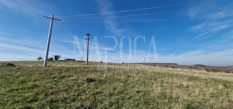 Teren agricol extravilan de 493170 mp, în Iris
