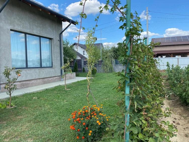 Vand casa P+1E, + 1 lot teren pentru construc?ie. Total teren 1000 mp. - 2