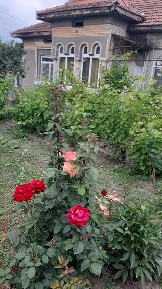 Casă cu Teren 500 Mp în Teslui