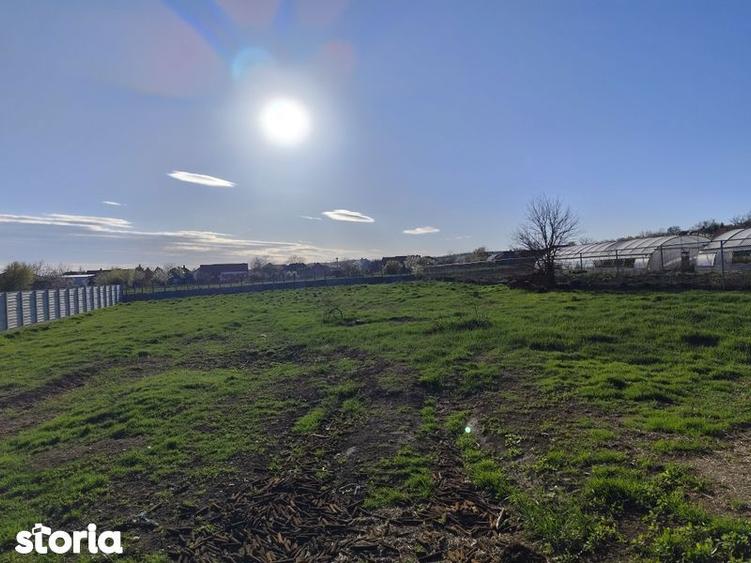 Casă cu 3 camere cu Teren 3000 Mp în Sâniob
