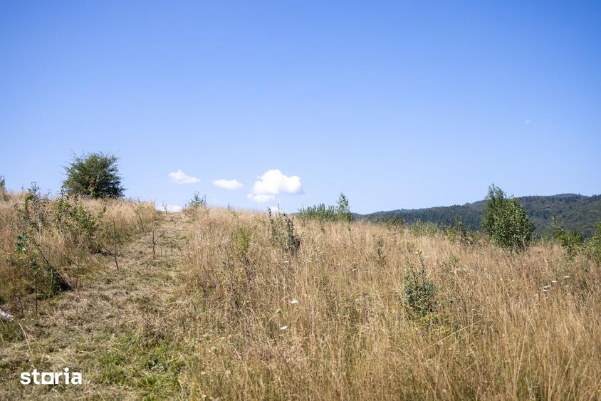 Comision0%Teren recreational 4200mp Vulcan Brasov- curent-asfalt - 7