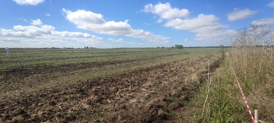 Teren Construcții intravilan de 500 mp, în Vest