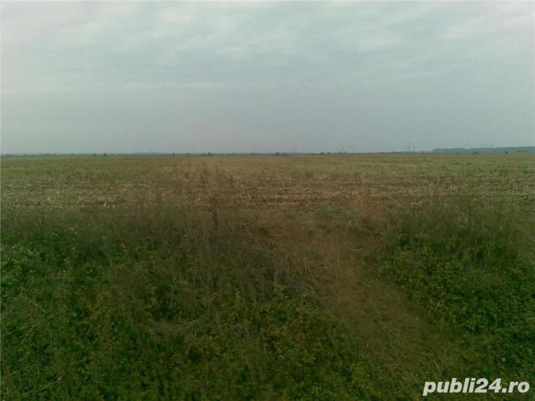 Teren de 5000 mp, în Tunari