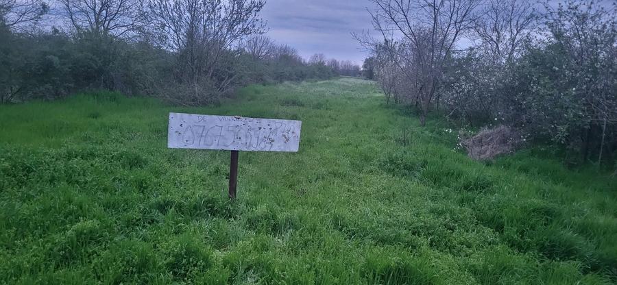 Spațiu comercial, în Petrăchioaia