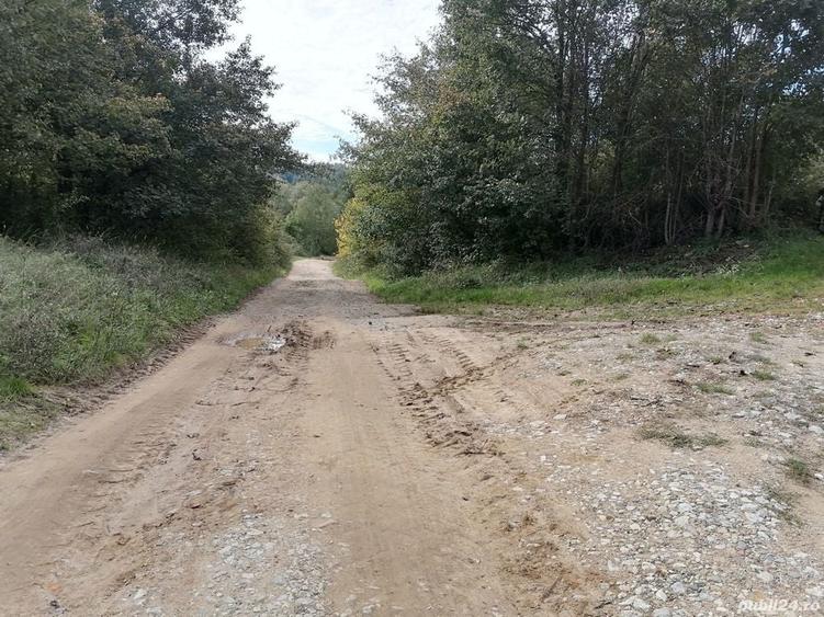 Teren de 30000 mp, în Central