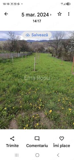 Teren intravilan. Localitatea Livadia, Comuna Baru, jude?ul Hunedoara