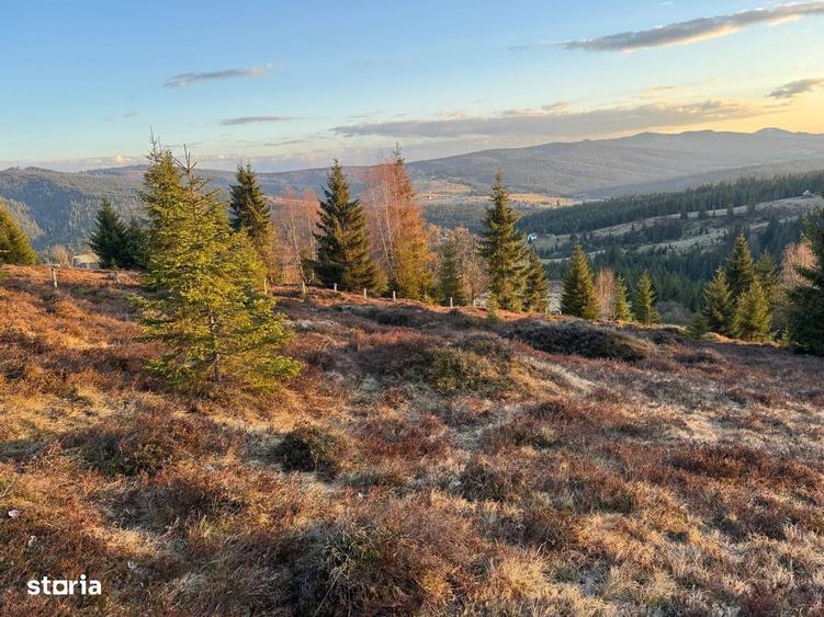 Teren intravilan 4.930 mp | Dealu Botii | Panorama superba - 2