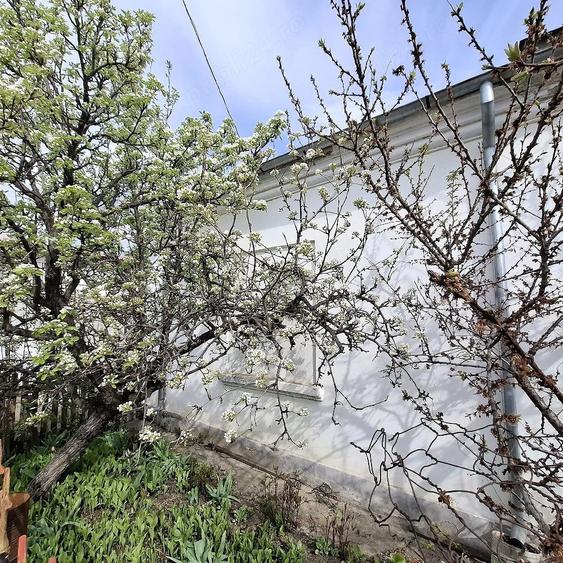 Casă cu 4 camere cu Teren 1000 Mp în Nord