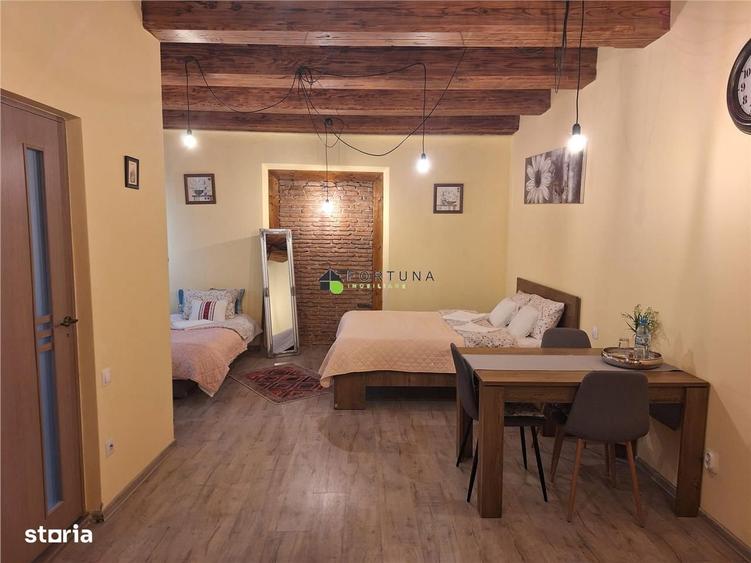 Apartament mobilat si utilat, centrul istoric - 6