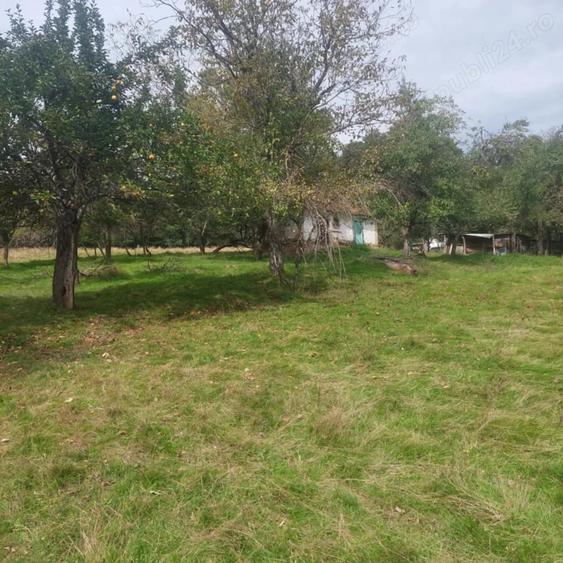 Teren de 15826 mp, în Central