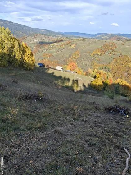 Teren de 25000 mp, în Bistra