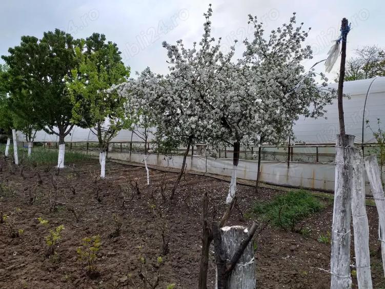 Casă cu 4 camere în Sărățeni