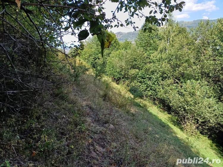 Teren de 3000 mp, în Măguri