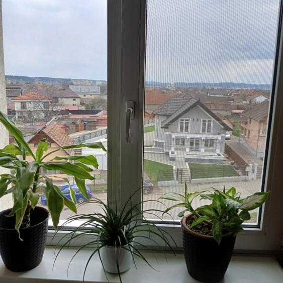 Apartament cu 3 camere semidecomandat în Sud-Est