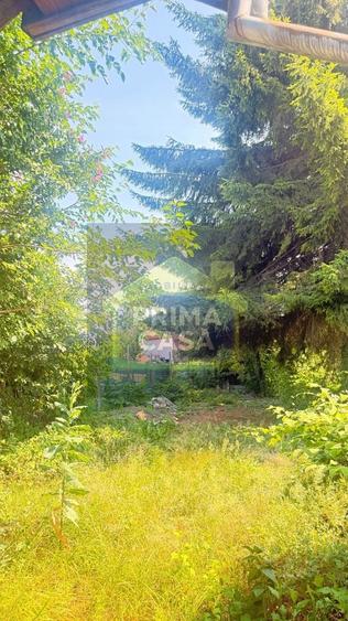 Casă cu 3 camere cu Teren 385 Mp în Orașul Vechi