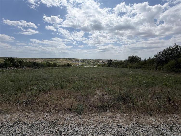 Teren intravilan de 5997 mp, în Săldăbagiu de Munte