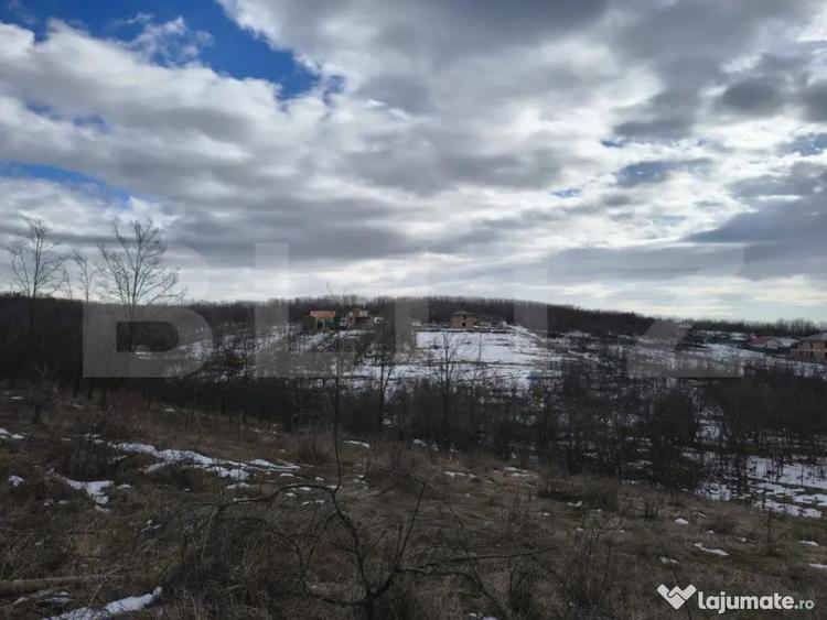 Teren în Păulești