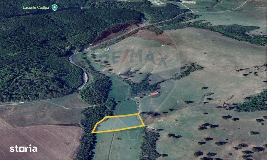 Teren de 10000 mp, în Dumbrăvița