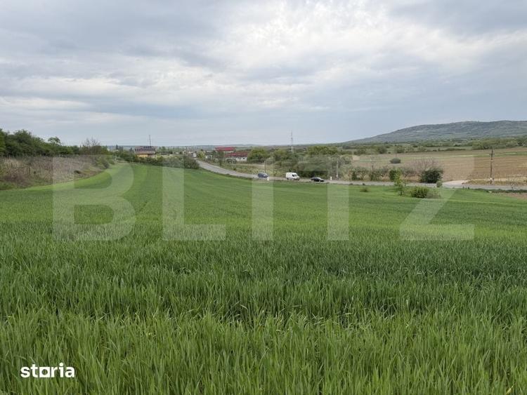 Teren de 12500 mp, în Bobota