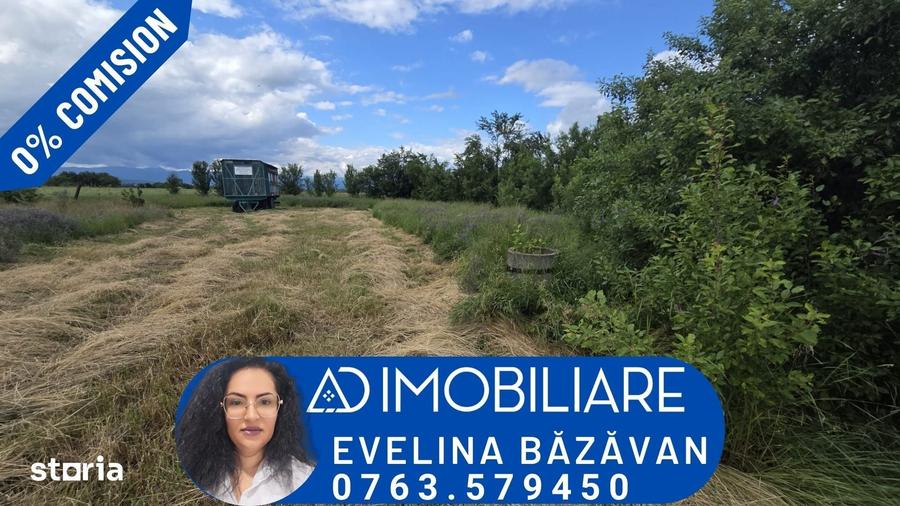 Teren de 2300 mp, în Central