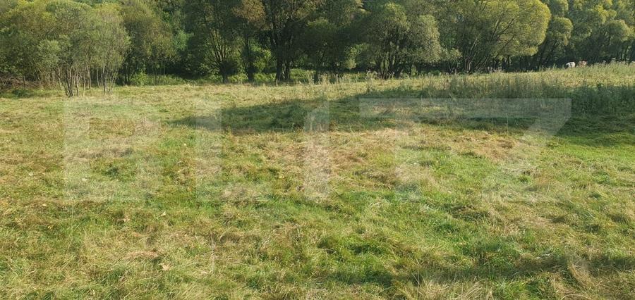 Teren Construcții intravilan de 1322 mp, în Vatra Dornei