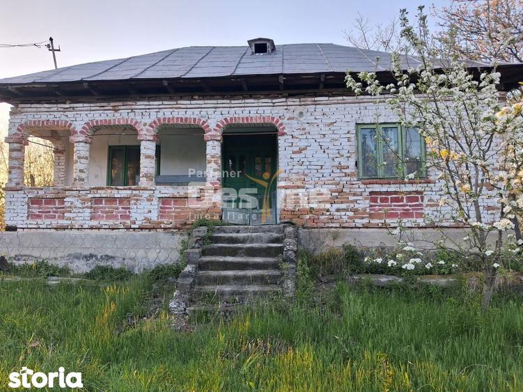 Casa batraneasca cu teren 1150 mp, vie si livada ?erbanesti, Paus - 2