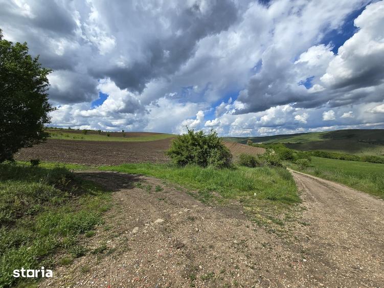 Teren de vanzare Cluj Napoca zona Centura Sub Coasta Emerson - 9