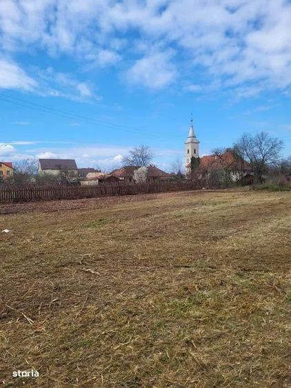 Teren de 3415 mp, în Tăuții-Măgherăuș