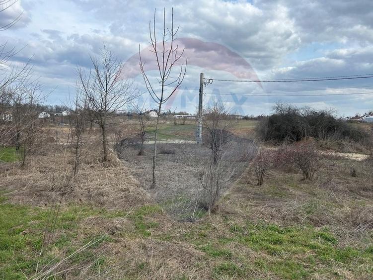 Teren Construcții intravilan de 700 mp, în Izvorani