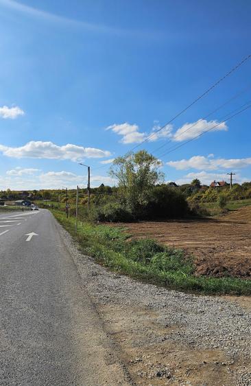 Teren de 919 mp, în Marghita