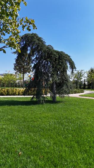 Apartament cu 2 camere decomandat în Militari