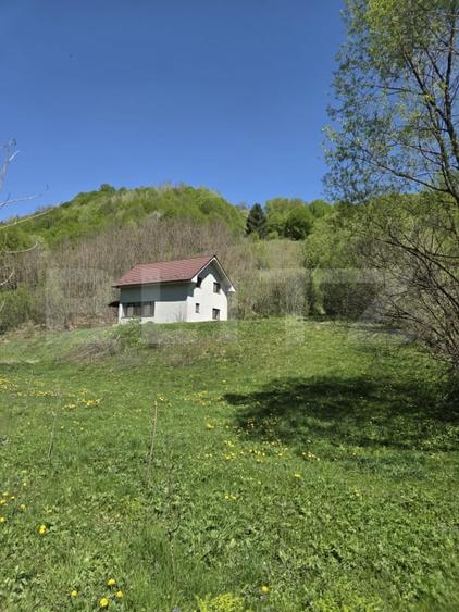 Casă individuală cu 6 camere cu Teren 4159 Mp în Năsăud