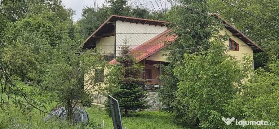 Casă cu 5 camere cu Teren 2200 Mp în Provița de Sus