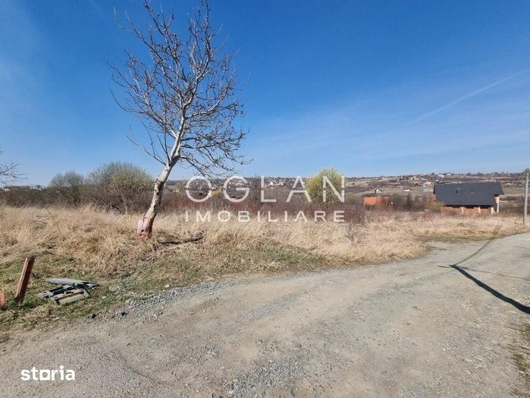 Teren de 8000 mp, în Ighișu Vechi