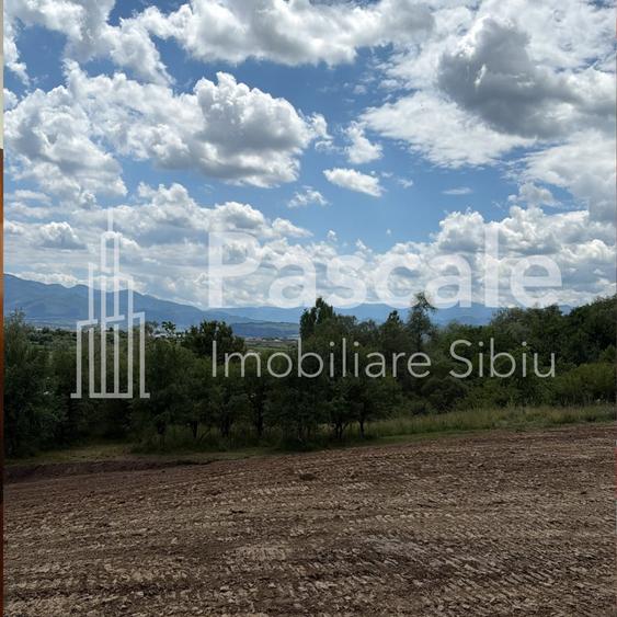 Teren Construcții intravilan de 2600 mp, în Bradu